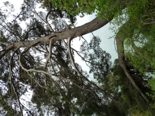 P1090820