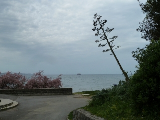 P1090827