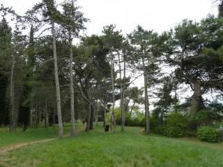 P1090854