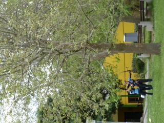 P1090859